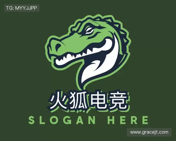 关于火狐电竞